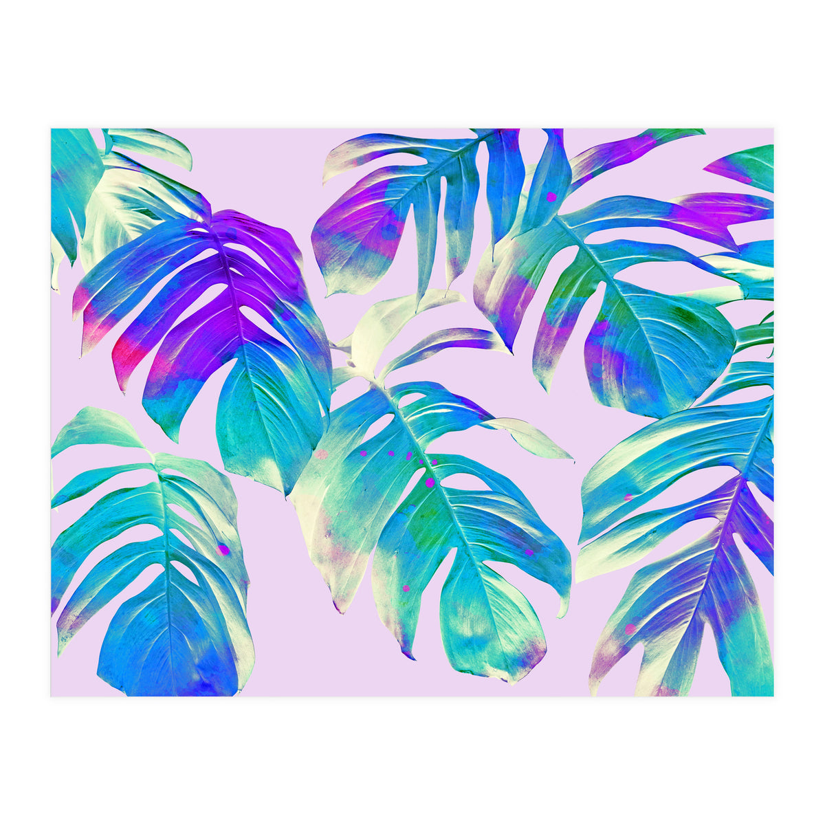 Monstera Leaves (Print Only)