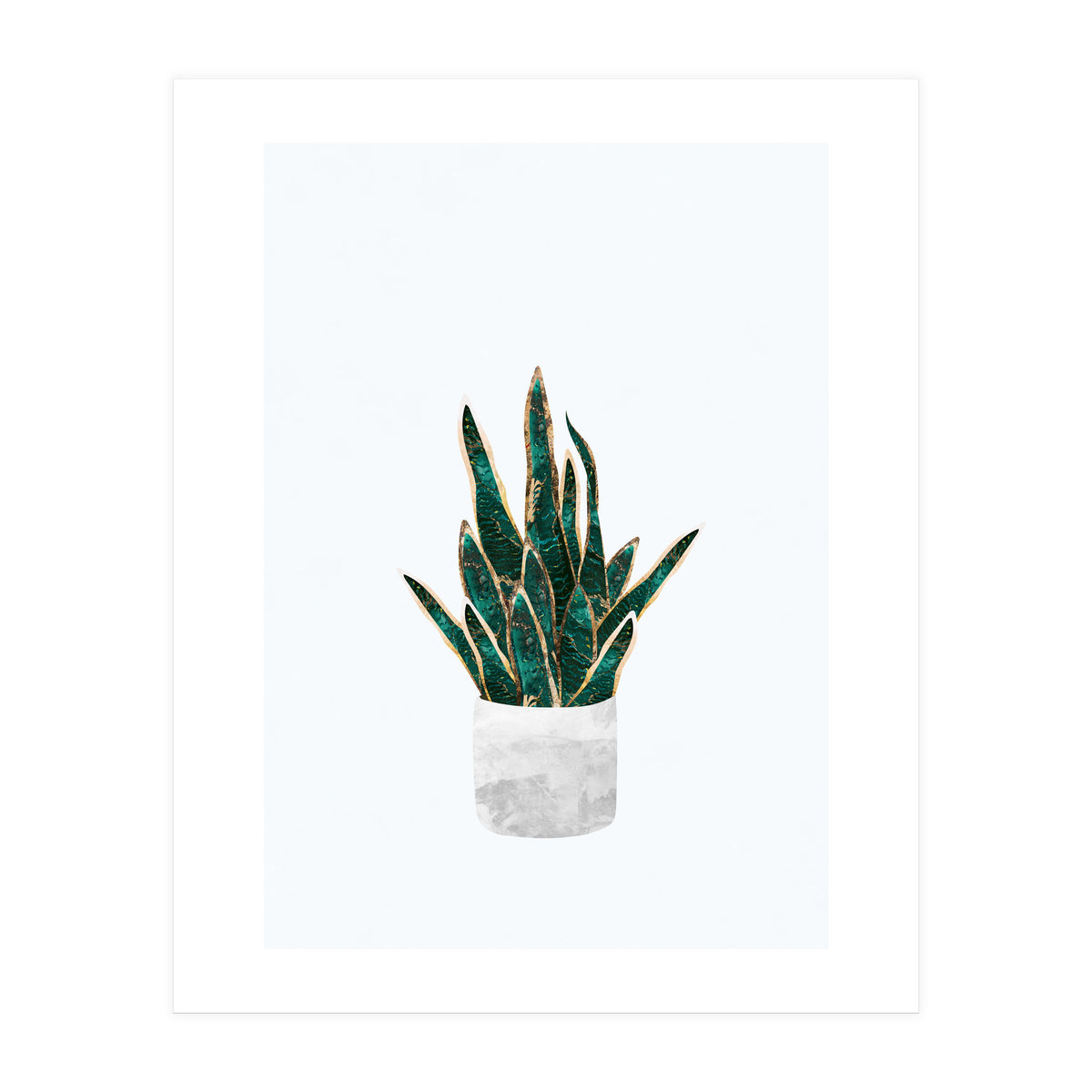 Snake Plant gold and green (Print Only)