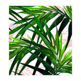 Dream paradise  (Print Only) thumbnail