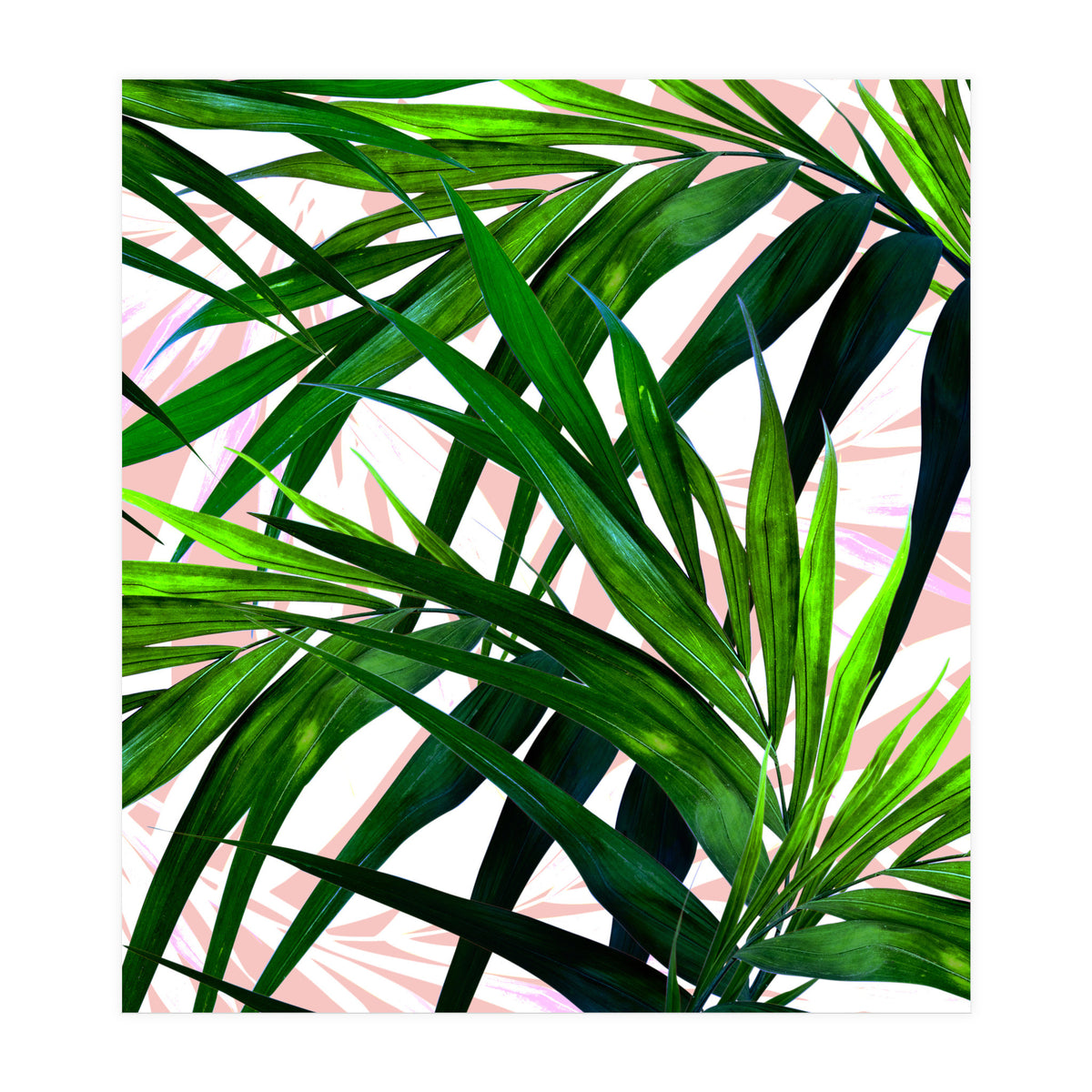 Dream paradise  (Print Only)