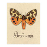 Garden tiger moth illustration (Print Only) thumbnail