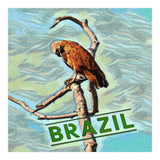 Brazilian resting Eagle (Print Only) thumbnail