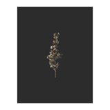 Gold Rush Botanicals (Print Only) thumbnail