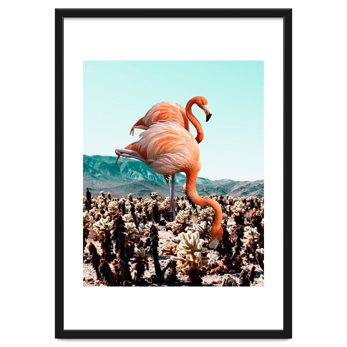 Flamingos In The Desert