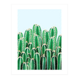 Kaktos II (Print Only) thumbnail