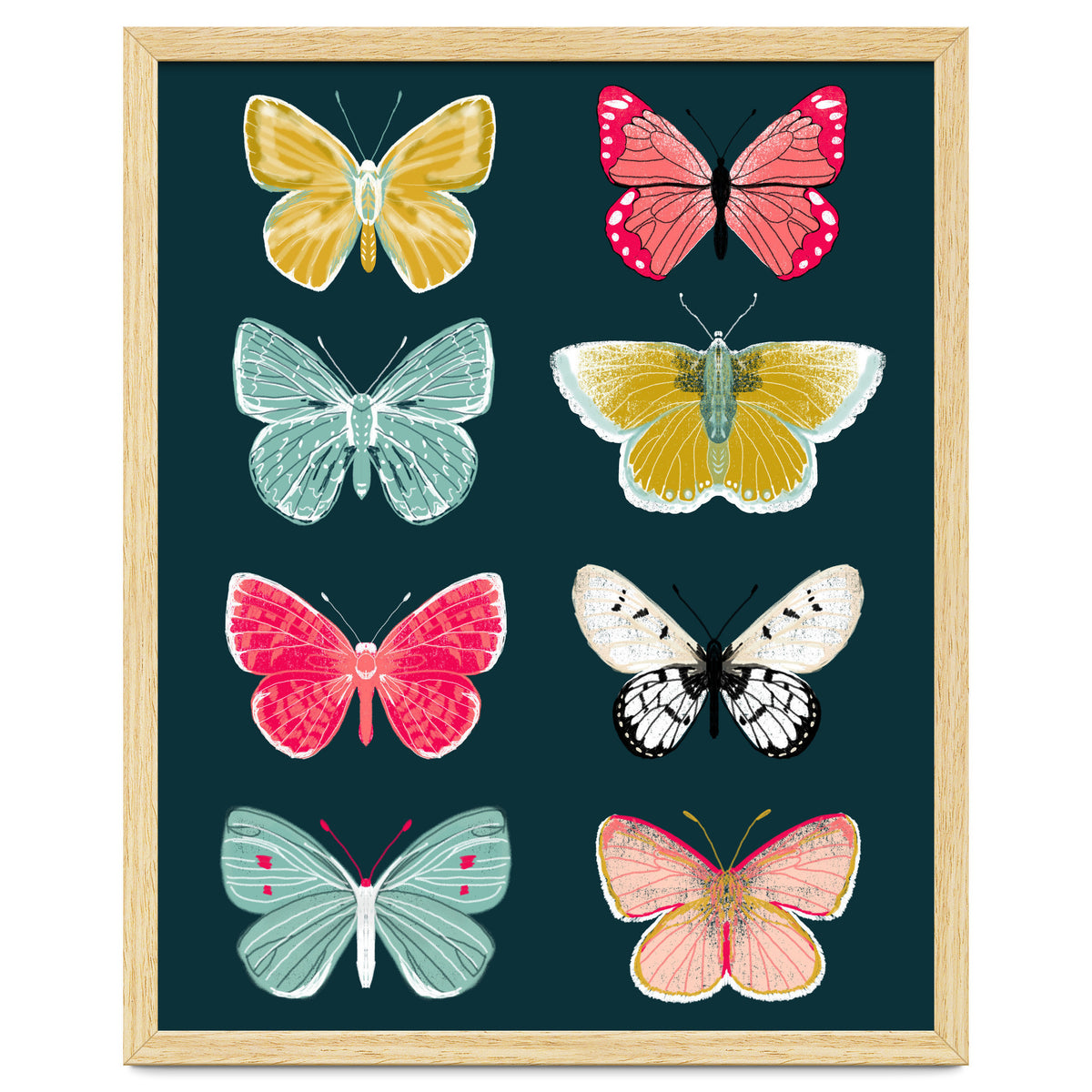 Lepidoptery Study No. 2