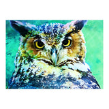Great Horned Owl (Print Only) thumbnail
