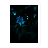 Shining Blue Floral (Print Only) thumbnail
