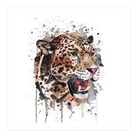 Leopard - Wildlife Collection (Print Only)
