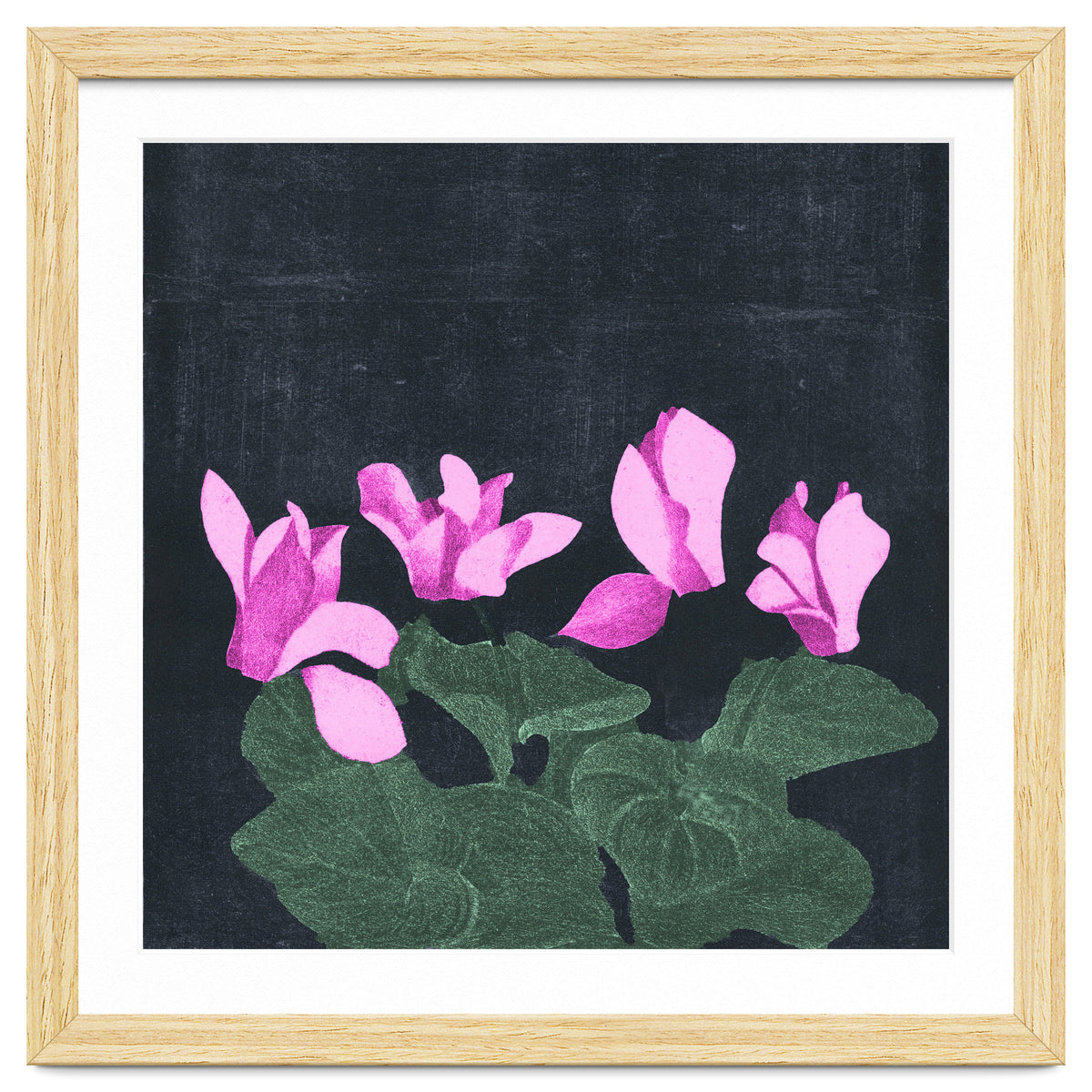 Cyclamen