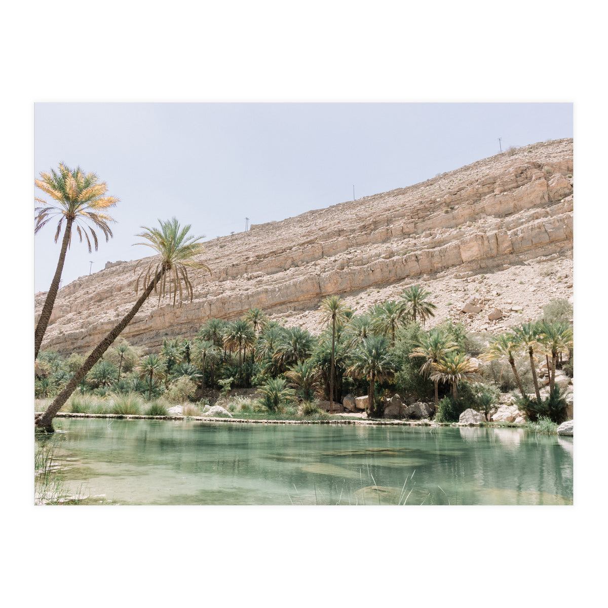 Tropical Oasis (Print Only)