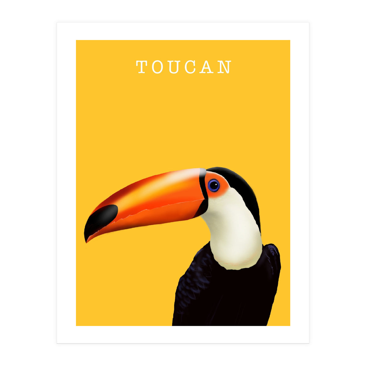 Toucan (Print Only)