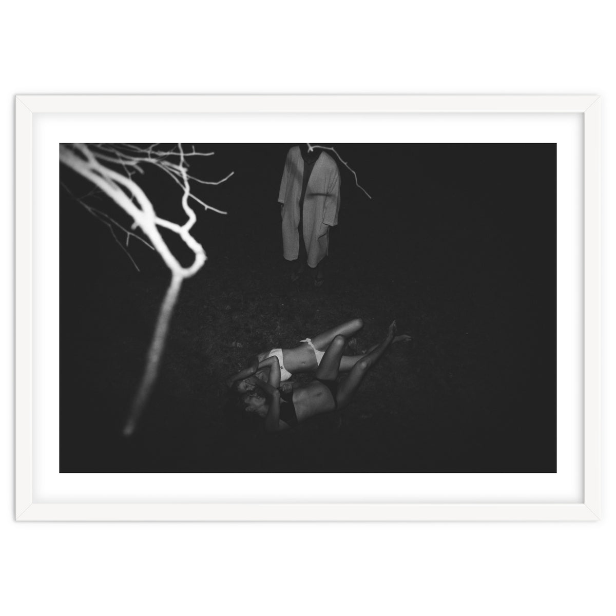 This is What it's Like to Live in a Tree House