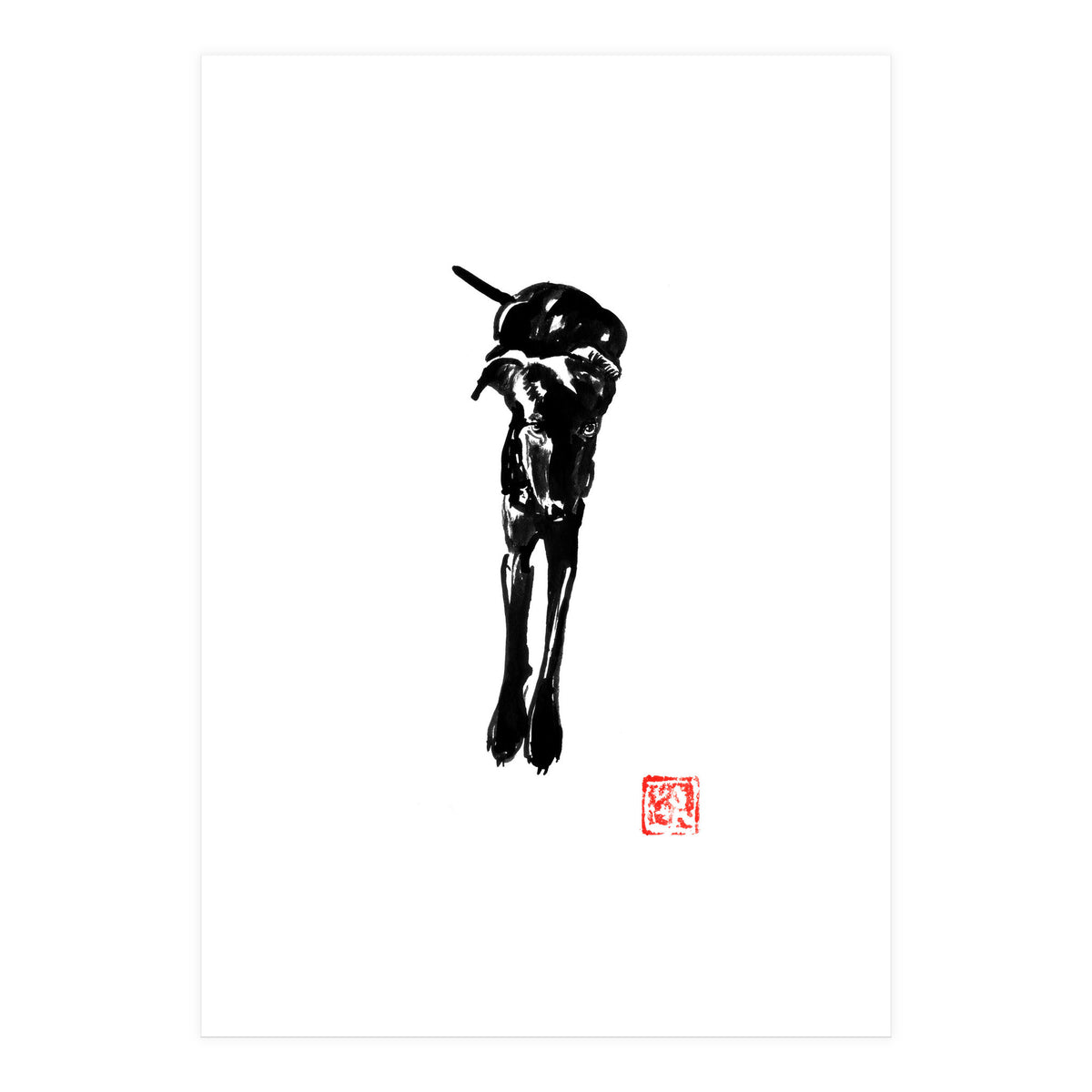 Balck Dog 02  (Print Only)