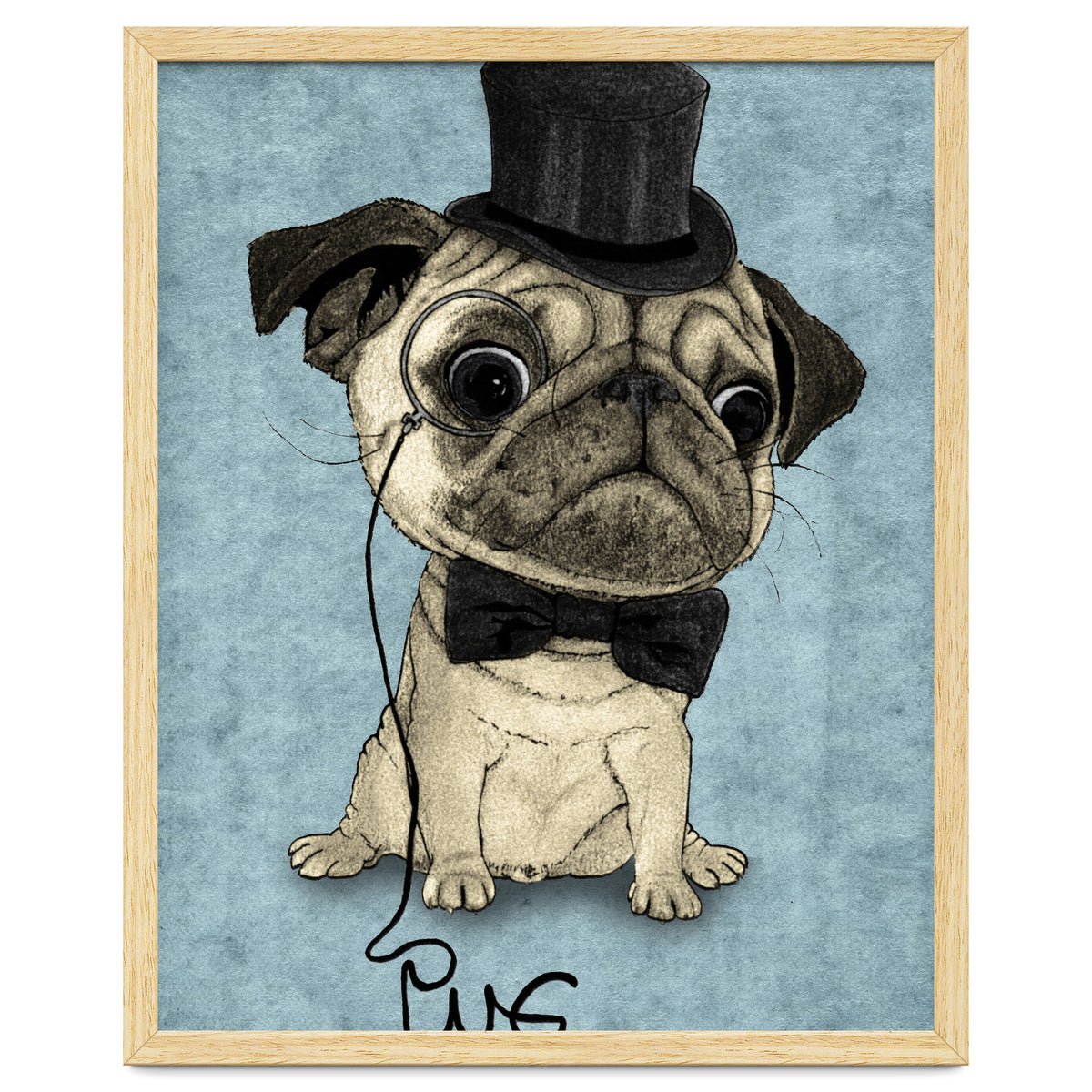 Pug, Gentle Pug