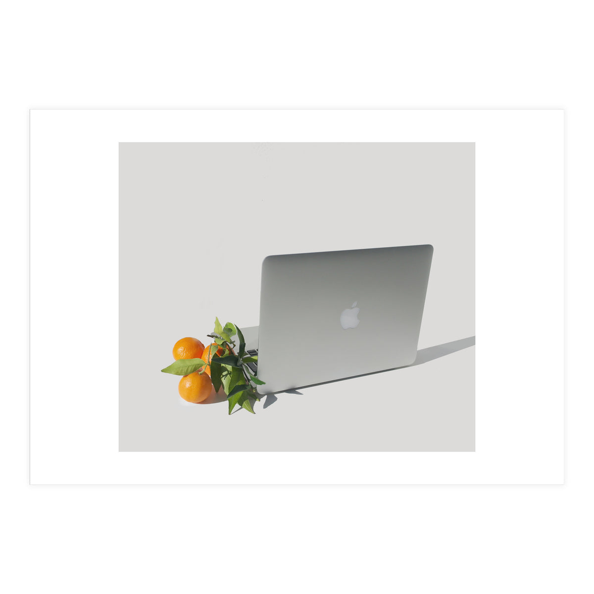 Fruit Salad (Print Only)