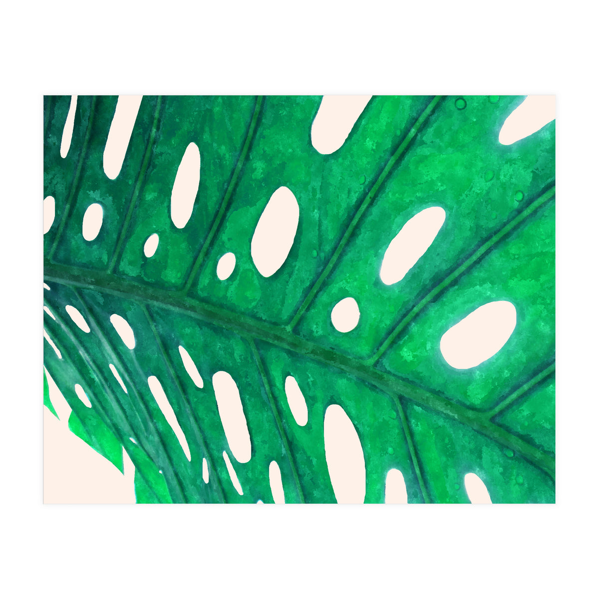 Foliage V2 (Print Only)