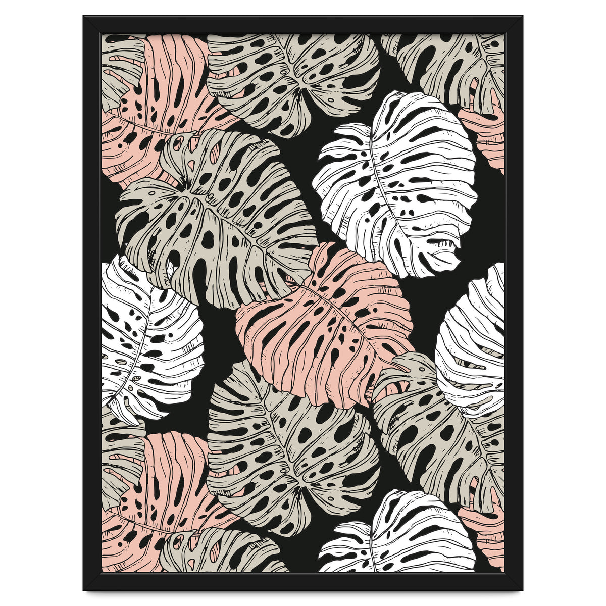 Monstera in the darkness of the jungle