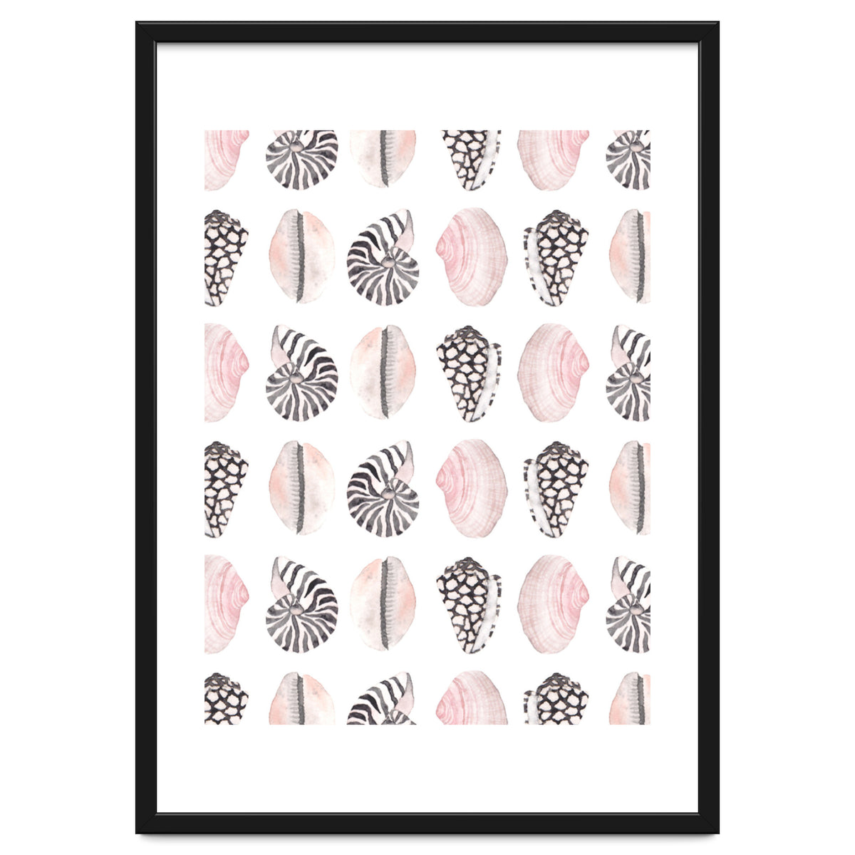 Seashell Pattern