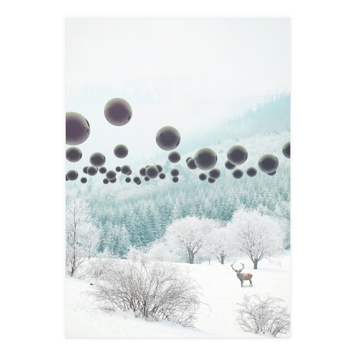 Forest Phantom (Print Only)