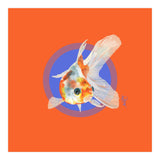 Koi Carp (Print Only) thumbnail