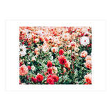 Meadow (Print Only) thumbnail