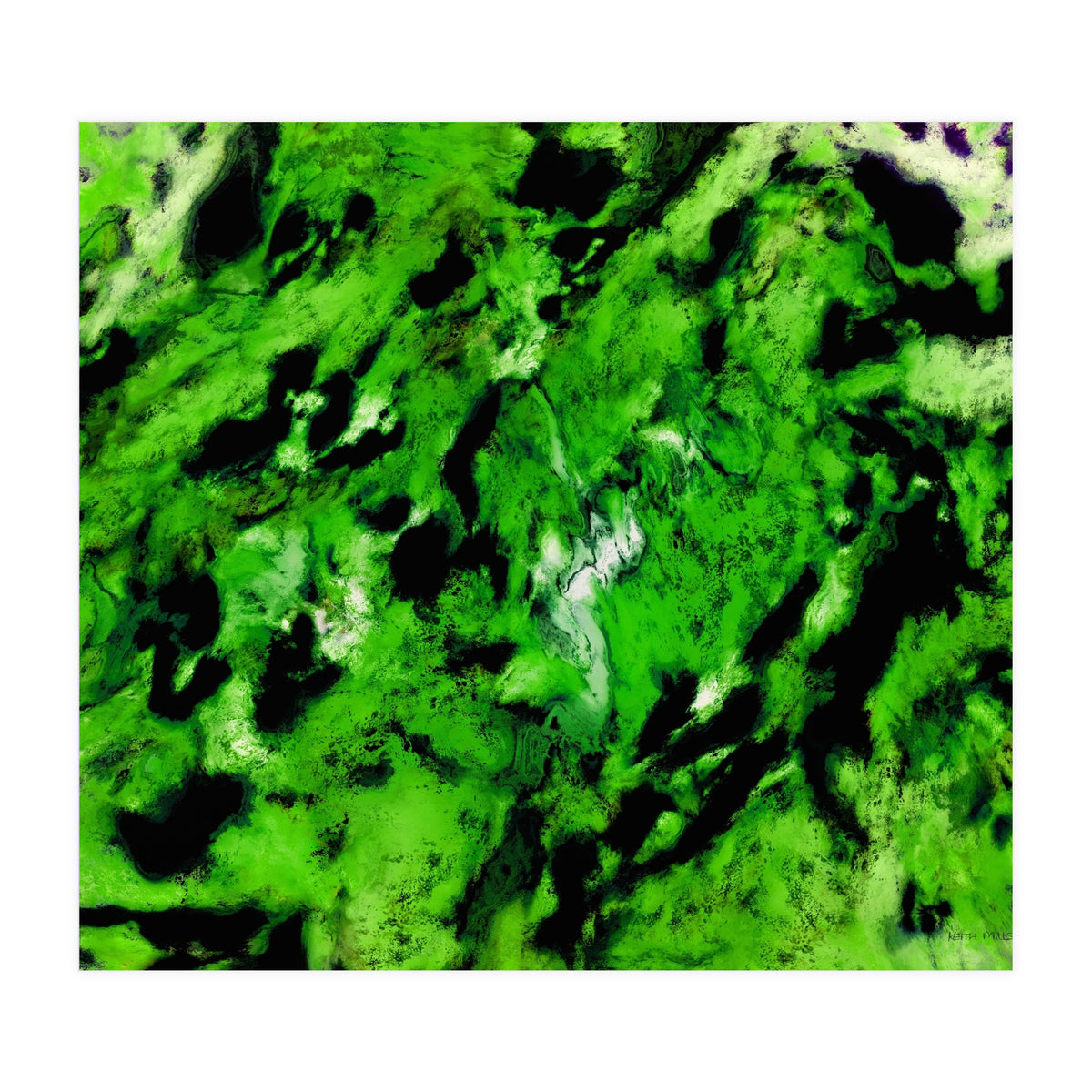 More Distinguishing Marks (Print Only)