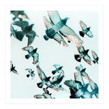 Rise (Print Only) thumbnail