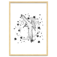 Fairy Tern Sketch