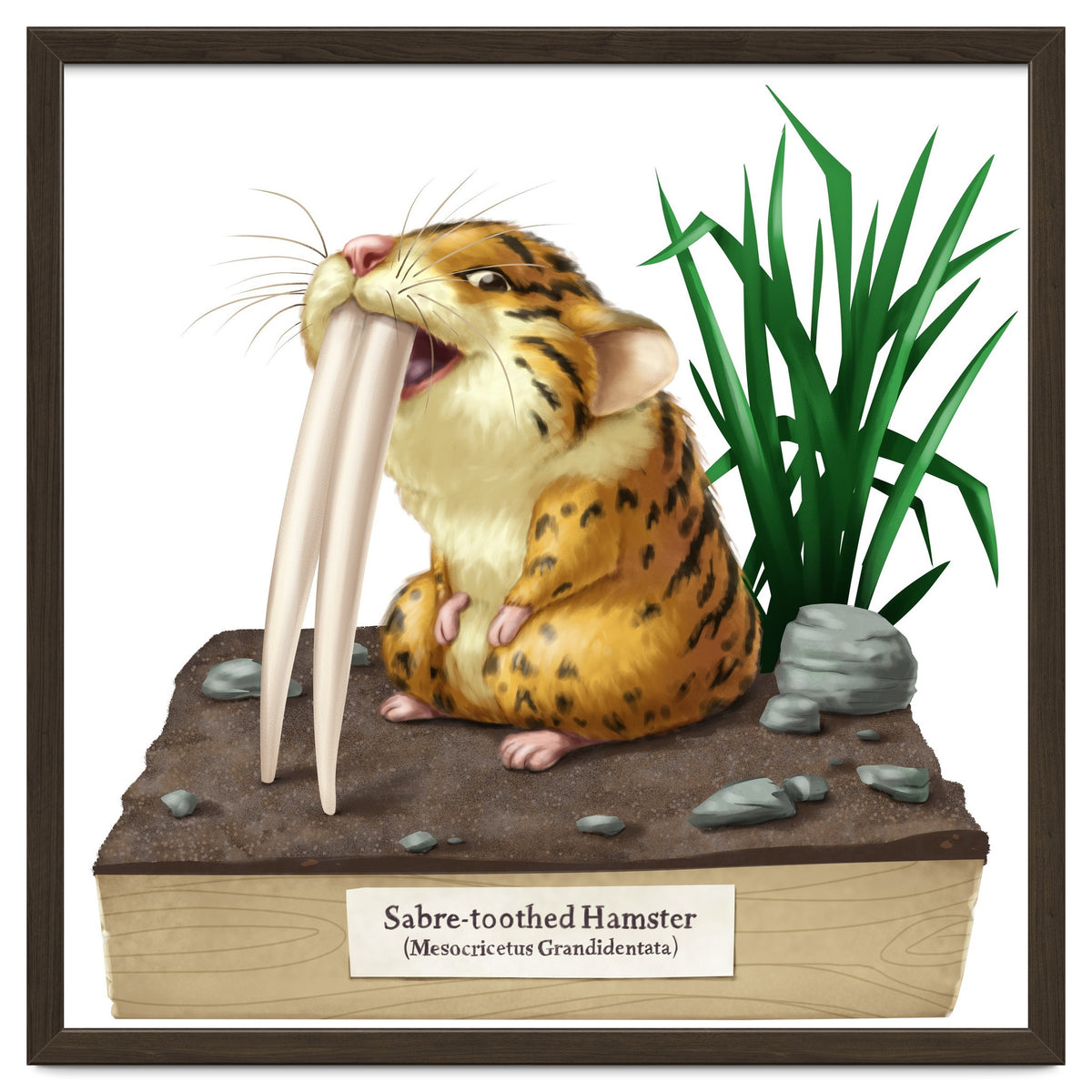 Saber-toothed Hamster