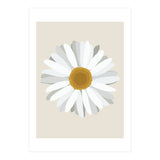 Daisy (Print Only) thumbnail