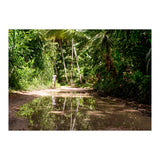 Haitian Bush (Print Only) thumbnail