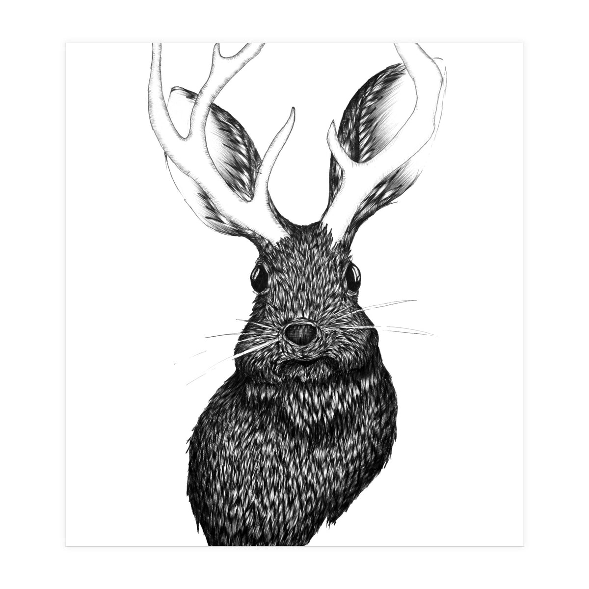 Jackalope  (Print Only)