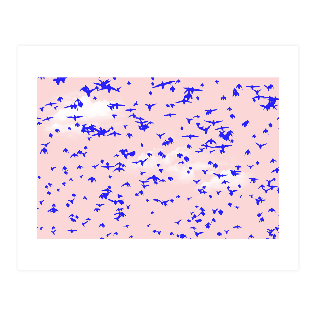 The Right To Fly (Print Only)