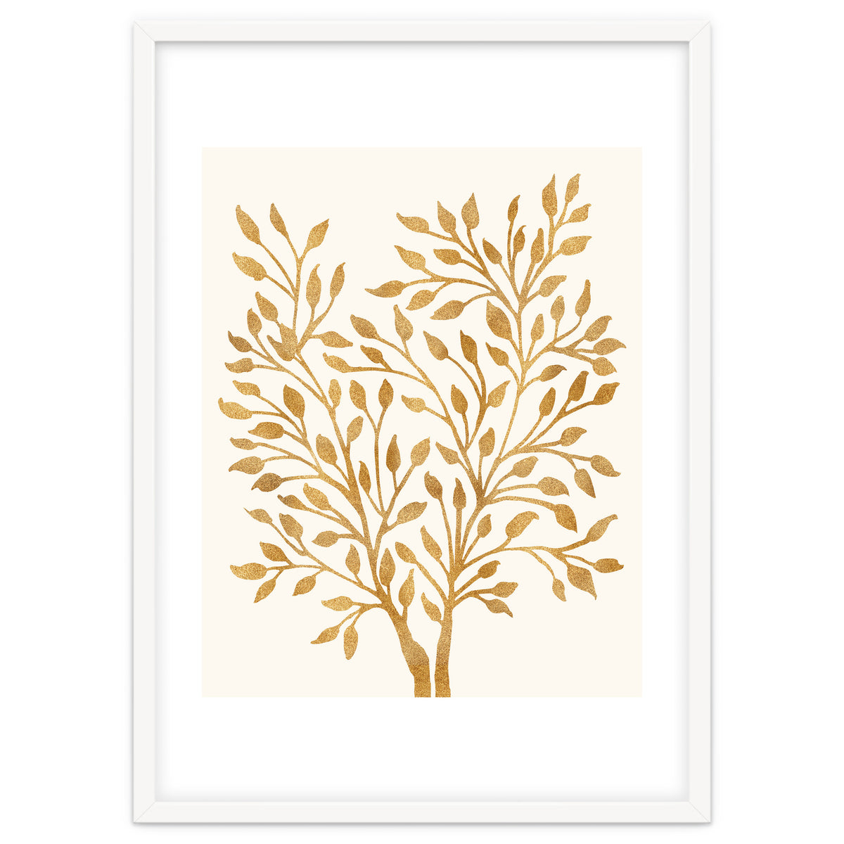 Golden Ficus 4x5