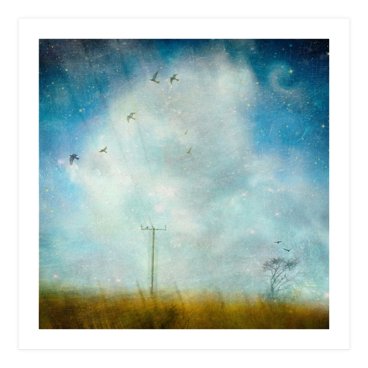 Silence, Shattered (Print Only)