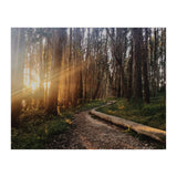 The Wood Line I (Print Only) thumbnail