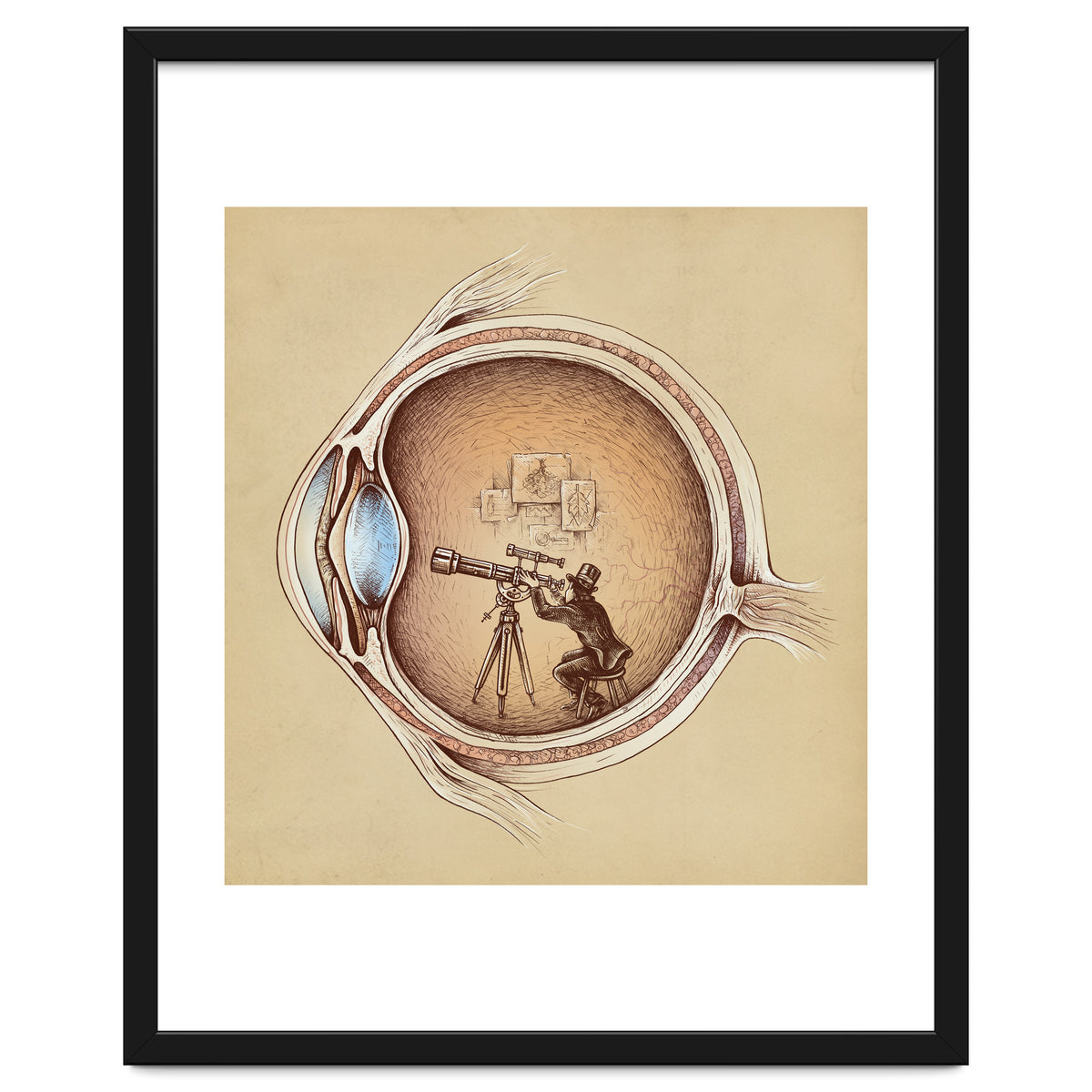 Extraordinary Observer