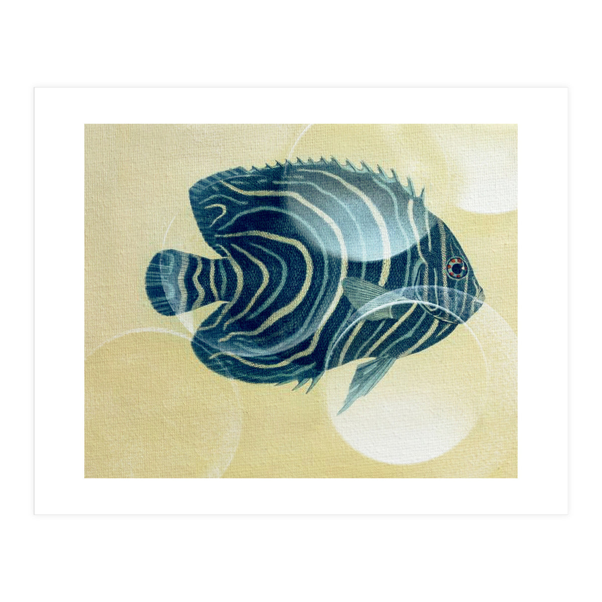 Fish Between Circles (Print Only)