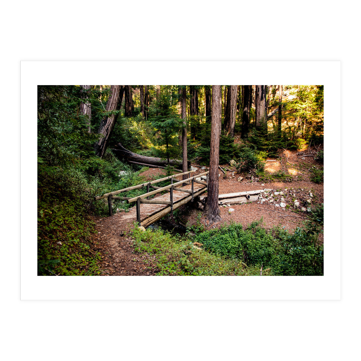 Ewoldsen Loop Bridge (Print Only)