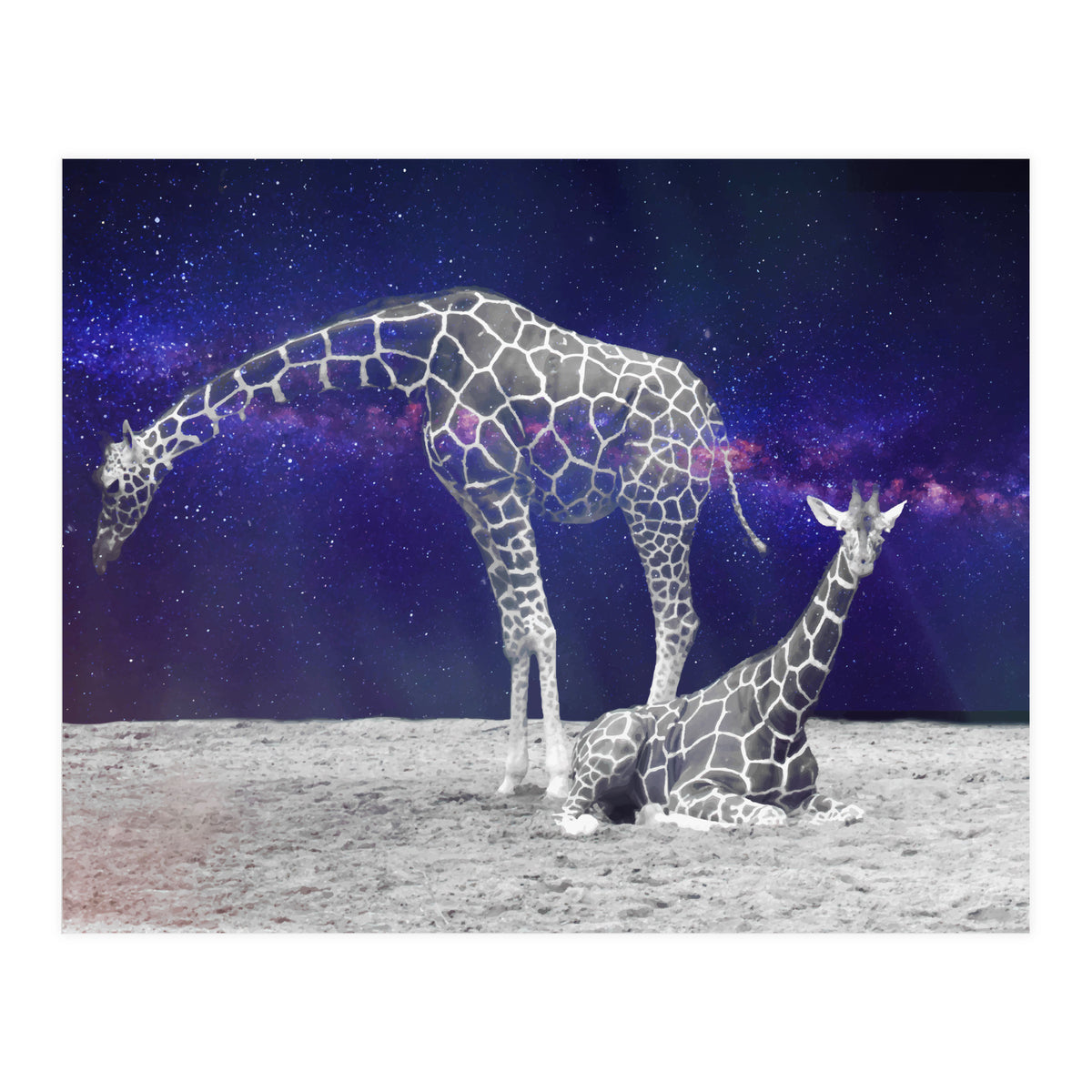 Giraffes on The Moon (Print Only)