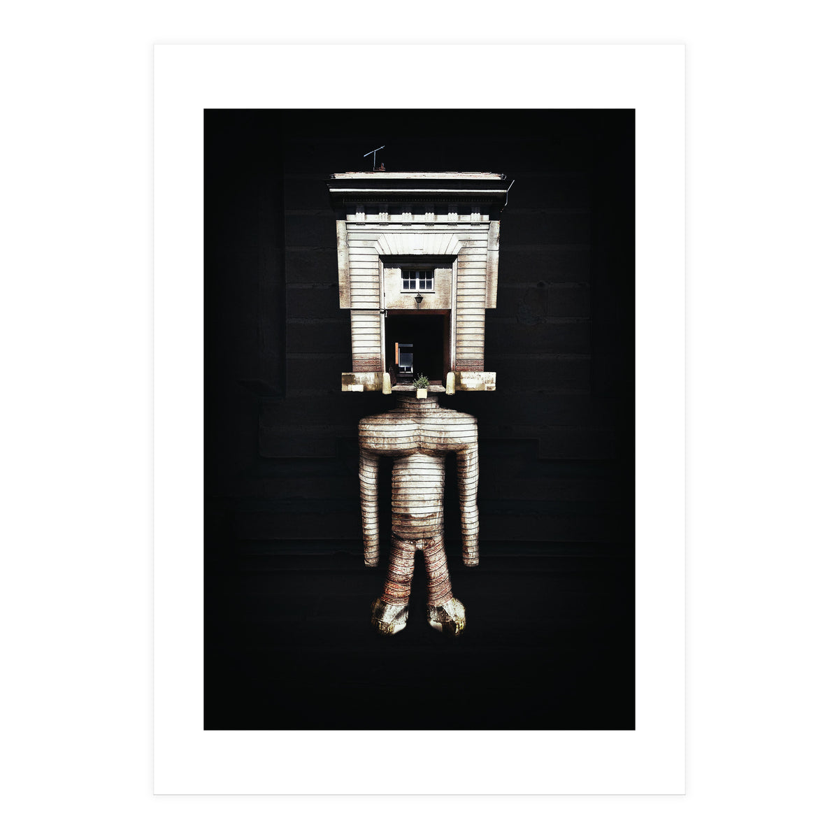 VooDooTooL - Jujia (Print Only)