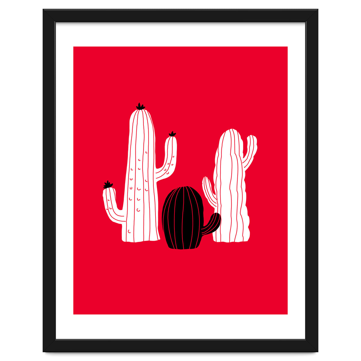 Cactus