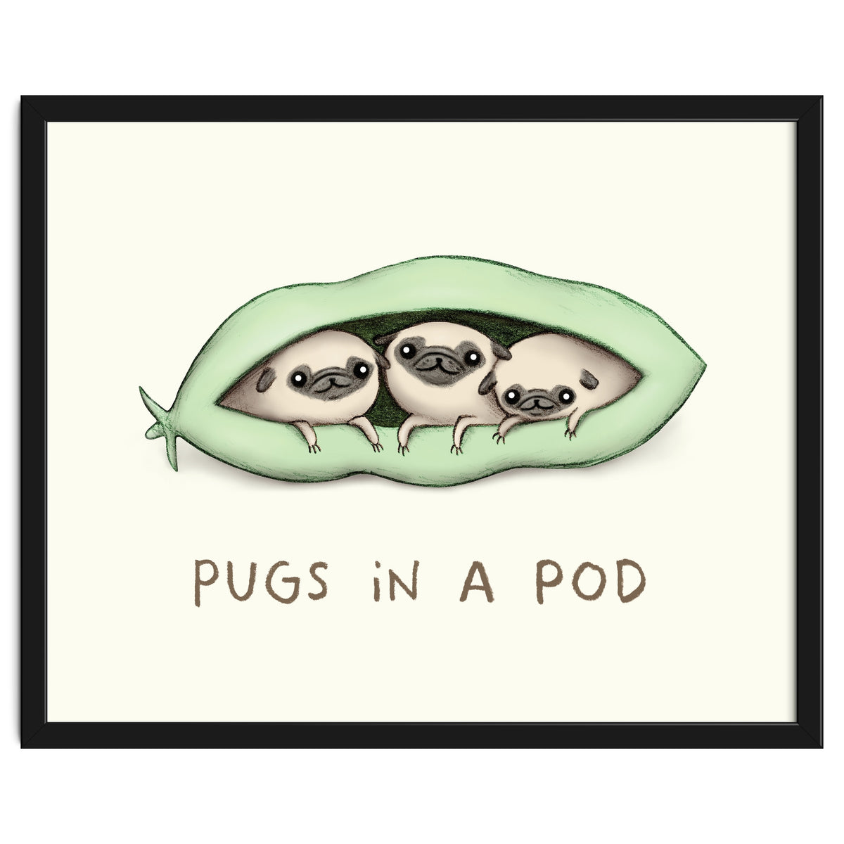 Pugs In A Pod