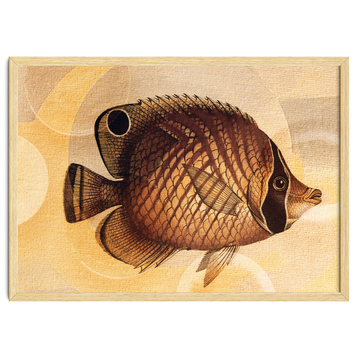 Fish Between Circles 3