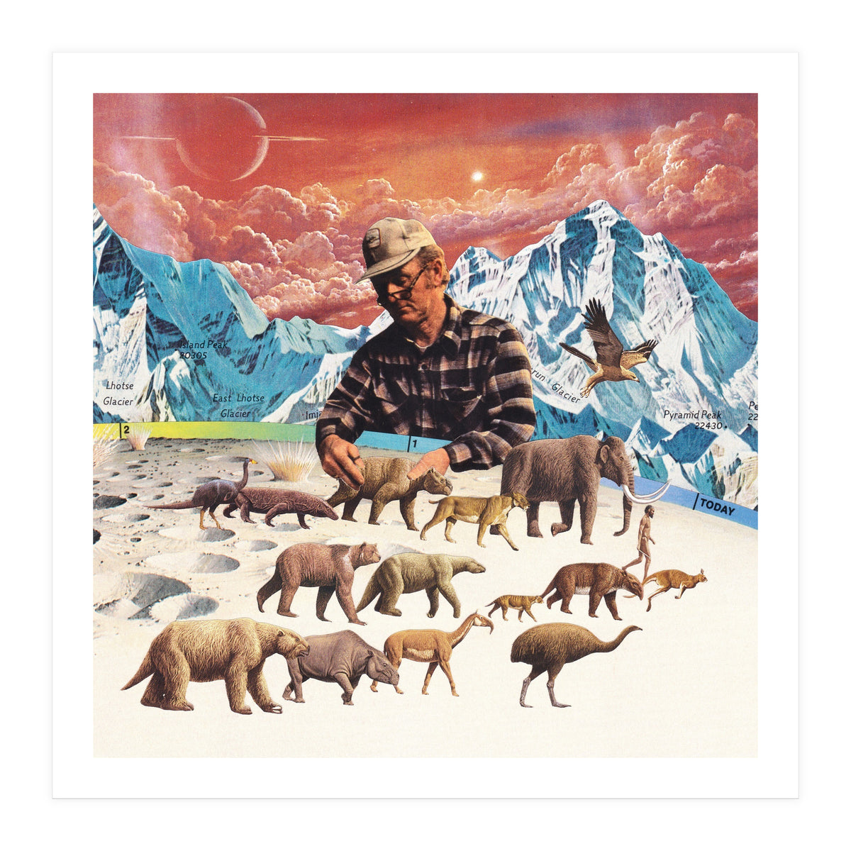 Evolution (Print Only)