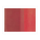 Color Reassessment 3 (Print Only) thumbnail