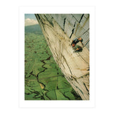 Vertigo (Print Only) thumbnail