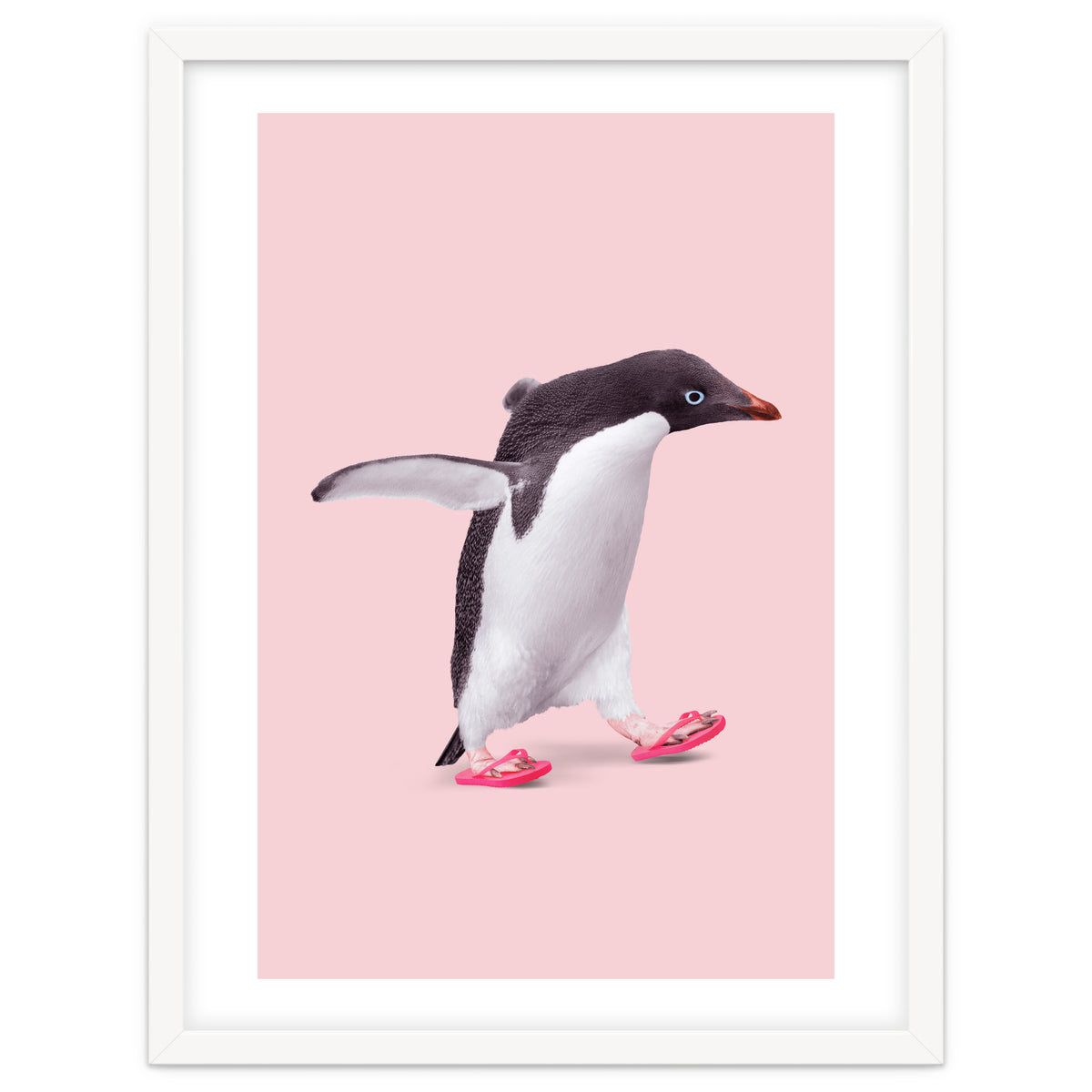 Flip Flop Penguin