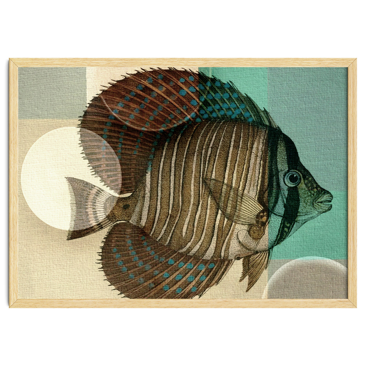 Fish Between Circles 4